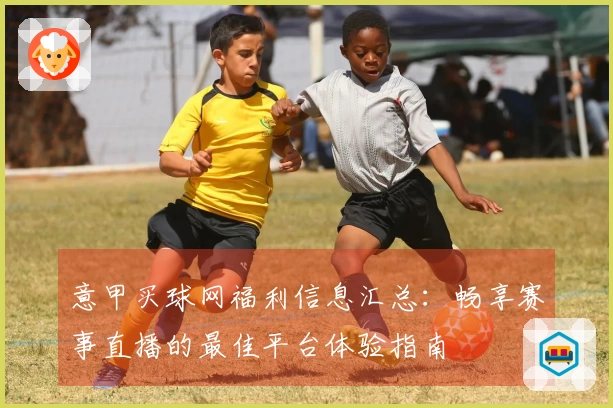 意甲买球网福利信息汇总：畅享赛事直播的最佳平台体验指南