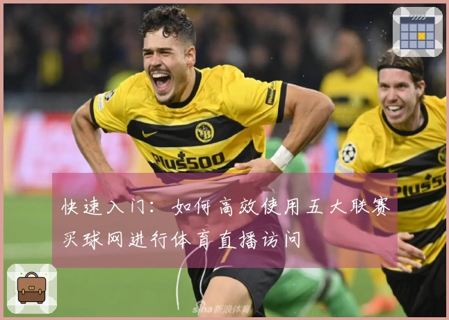 快速入门：如何高效使用五大联赛买球网进行体育直播访问