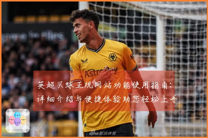 英超买球正规网站功能使用指南：详细介绍与便捷体验助您轻松上手